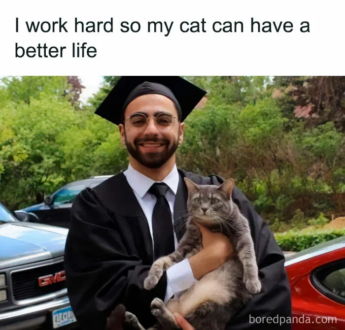 50 Hilarious Memes About Life That Are Spot-On