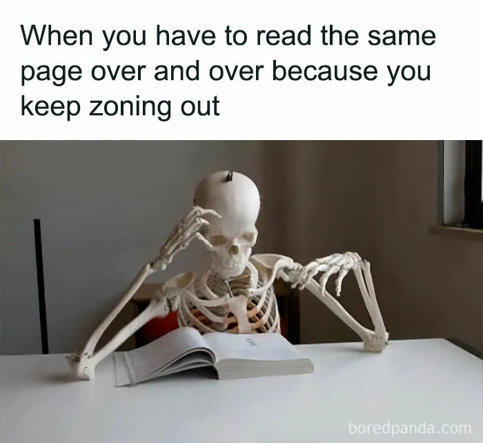 50 Hilarious Memes About Life That Are Spot-On