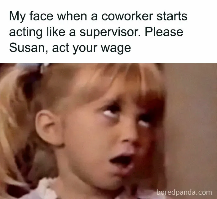 50 Hilarious Memes About Life That Are Spot-On