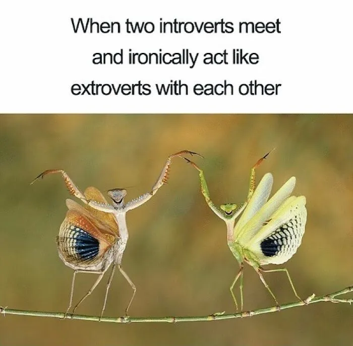 45 Hilariously Relatable Friendship Memes To Share With Your Best Friend