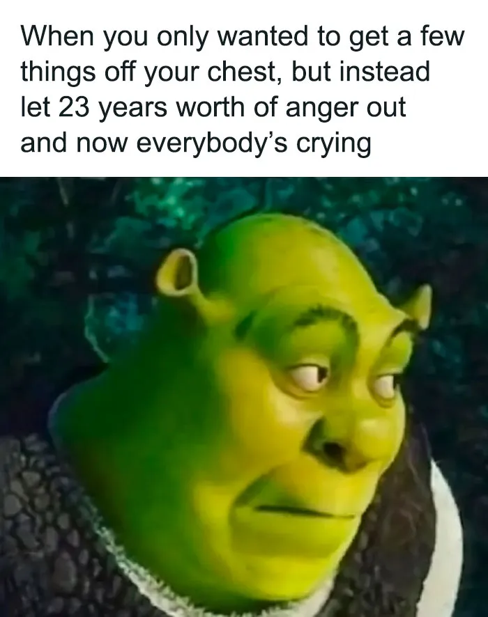 Shrek with a humorous expression highlighting relatable friendship meme humor.