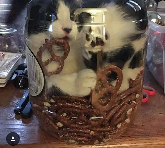 Oh, Hi