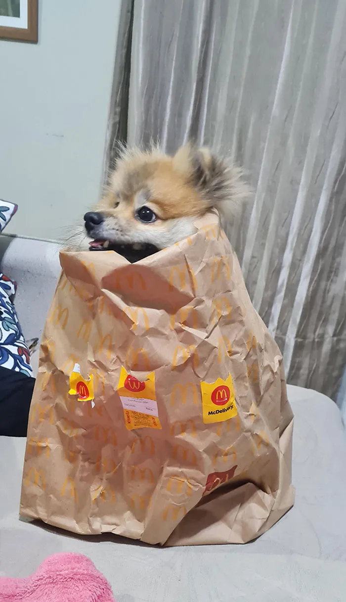 These Happy Meal Toys Are Getting Out Of Hand
