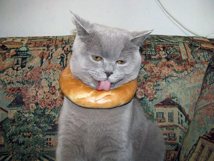 At Least He's Stuck Somewhere Tasty