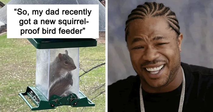 50 Poor Animals Who Ran Out Of Luck And Got Stuck In The Crime (New Pics)