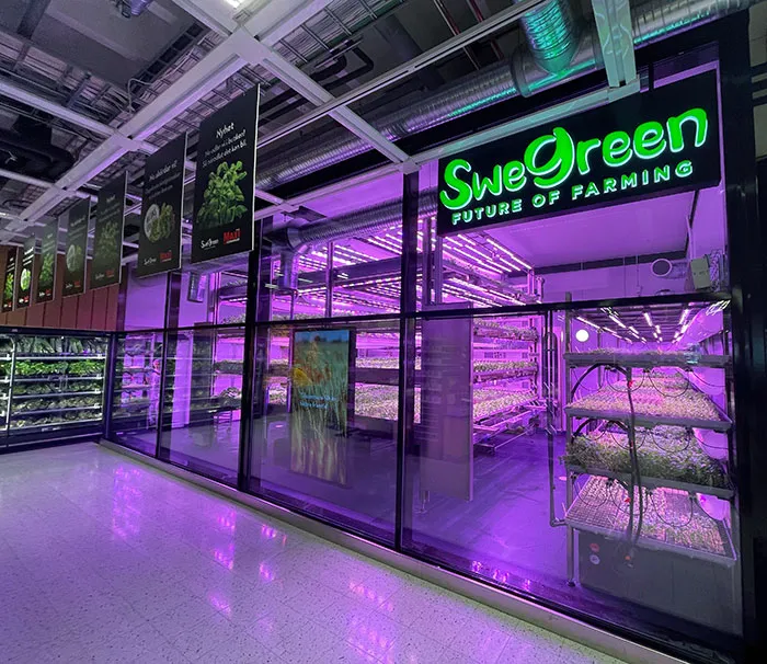 Our Local Shop Grows Its Own Salads And Herbs On Site