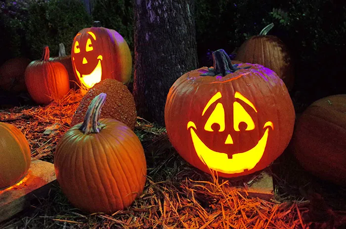 111 Halloween Facts About The Spookiest Night Of The Year