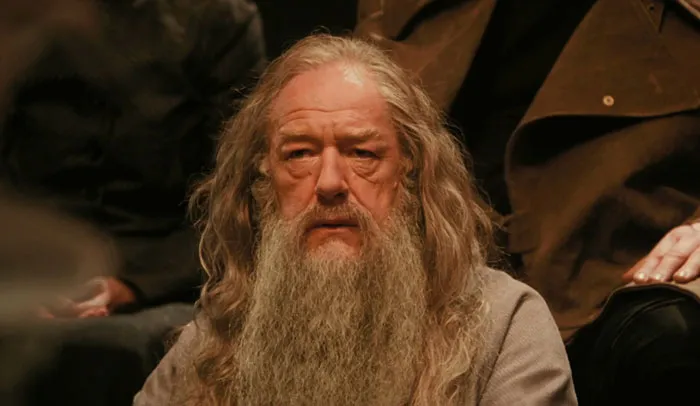  Albus Dumbledore looking