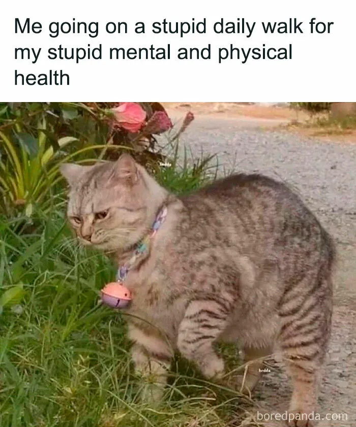 50 Painfully Relatable “Sarcasm Only” Memes To Enjoy While Things Fall Apart (New Pics)