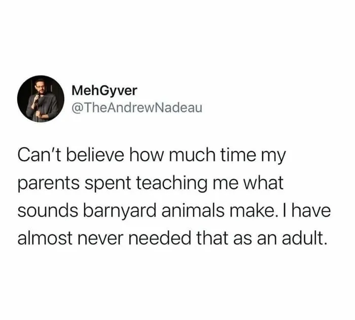 Hilarious-Parenting-Memes