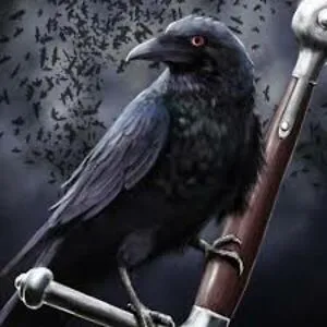 RavenM