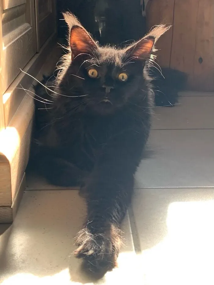 My Possessed Void