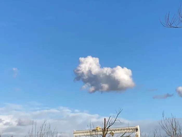 A Doggy!