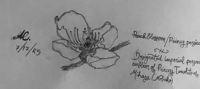 Peach Blossom :)