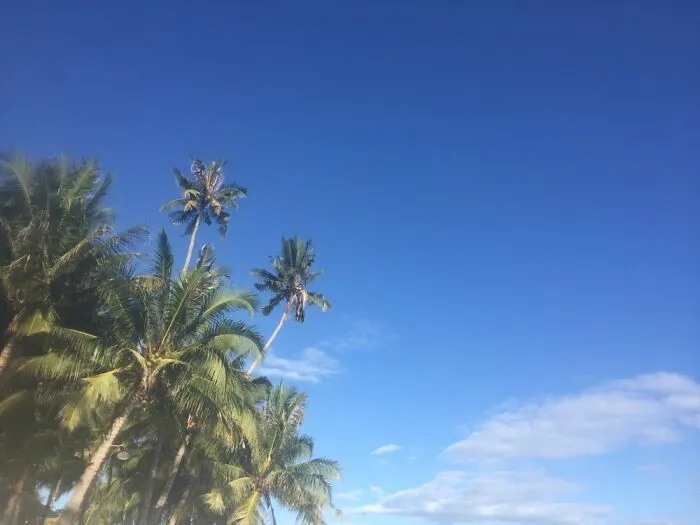 Accidental Photo - Alona Beach, Philippines, 2018
