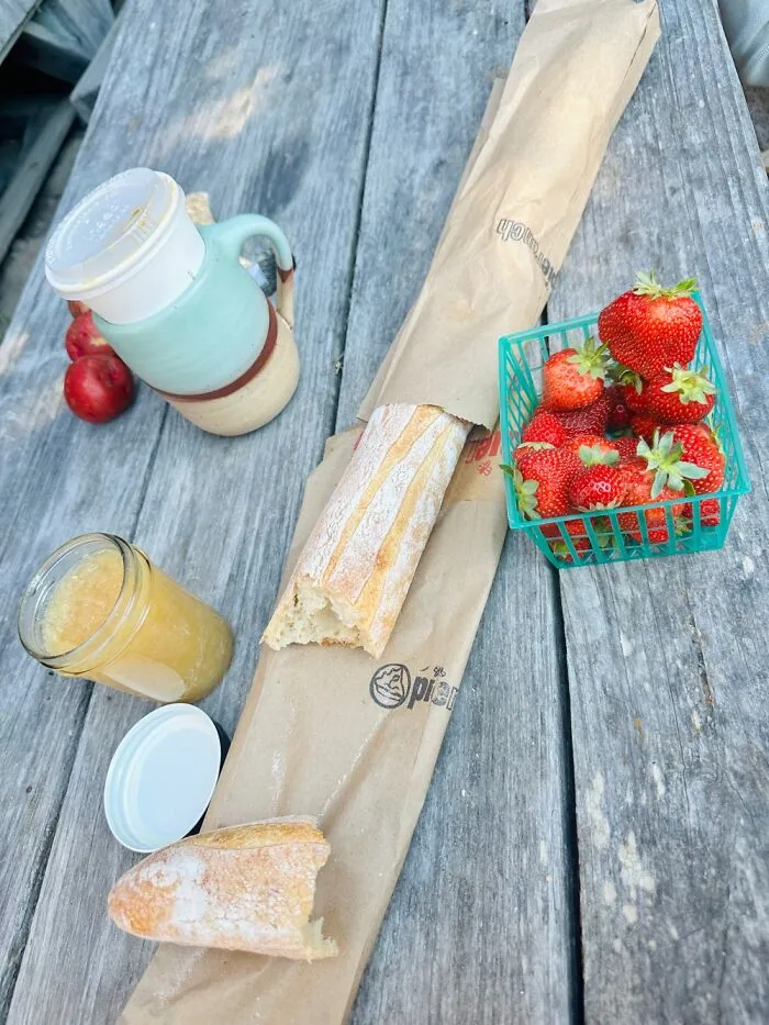 Summer Picnic