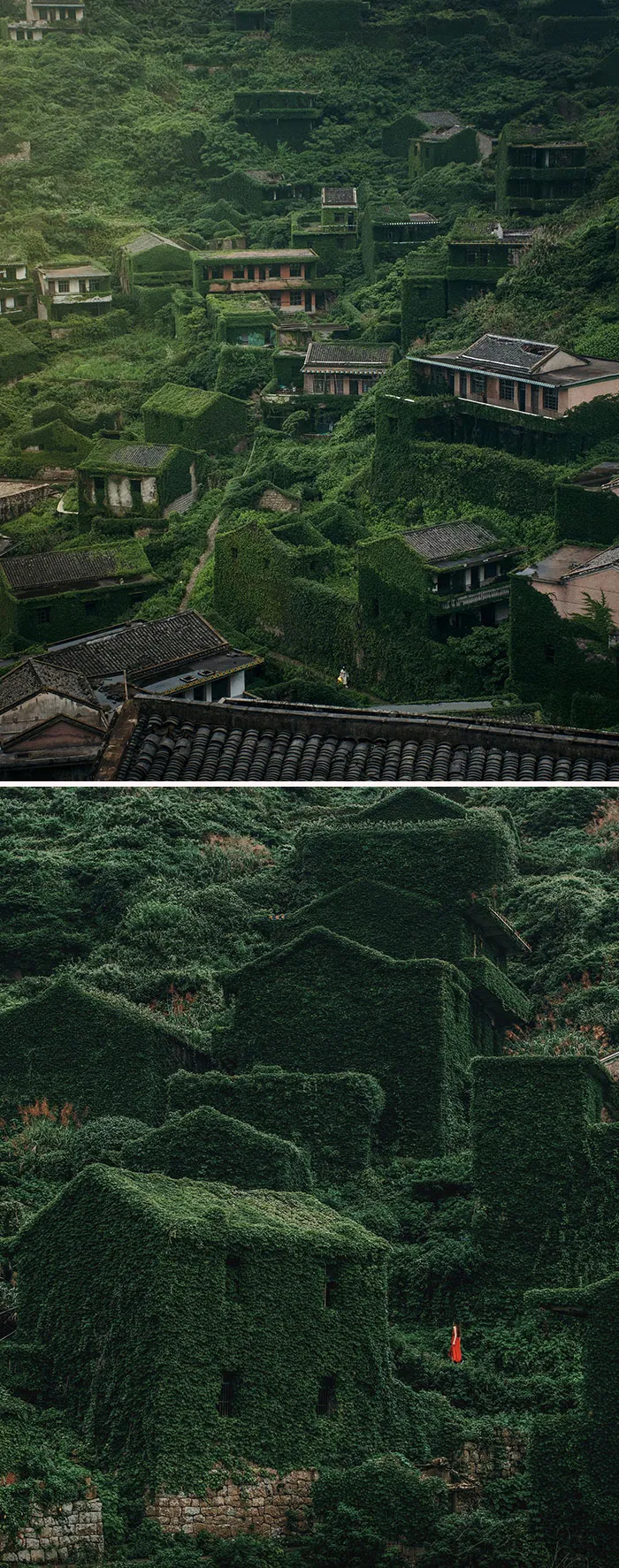 When Nature Takes Over. Abandoned Village On The Island (Shengsi Islands)