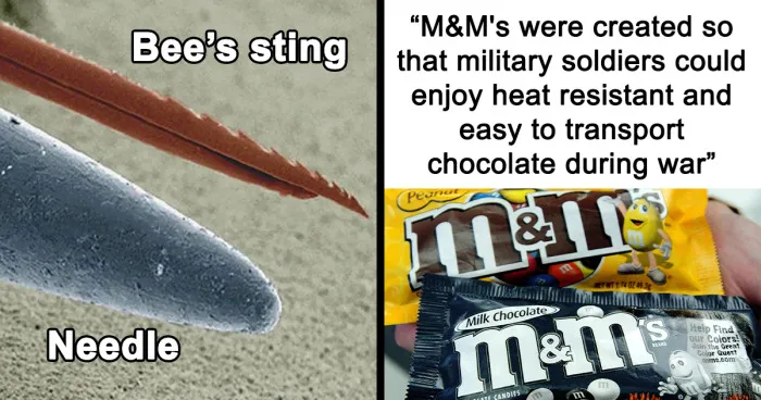 31 Interesting Facts That Might Surprise You, As Shared On 'Factologys'