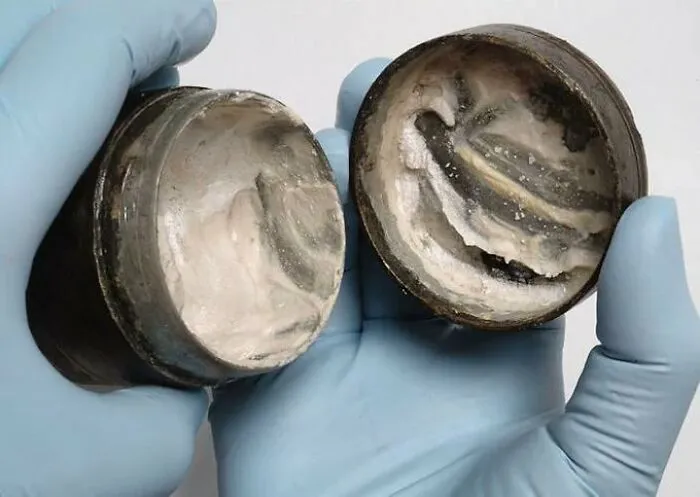 50 Of The Most ‘Fascinating’ Facts, As Shared By This X (Twitter) Account