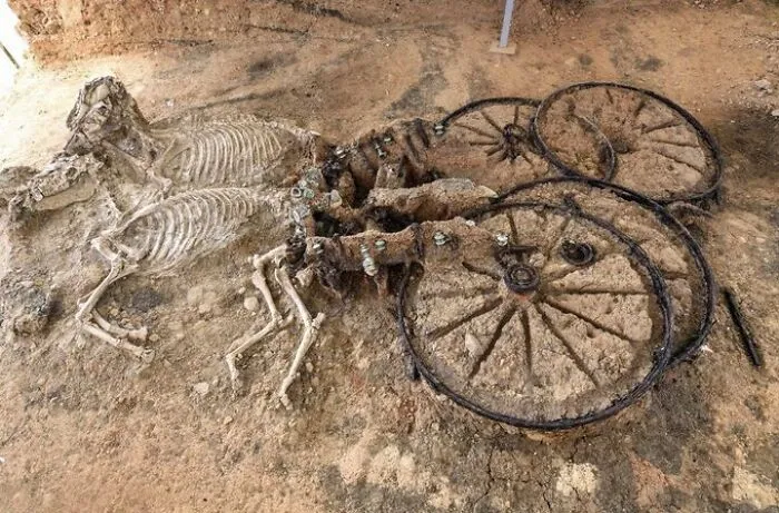 50 Of The Most ‘Fascinating’ Facts, As Shared By This X (Twitter) Account