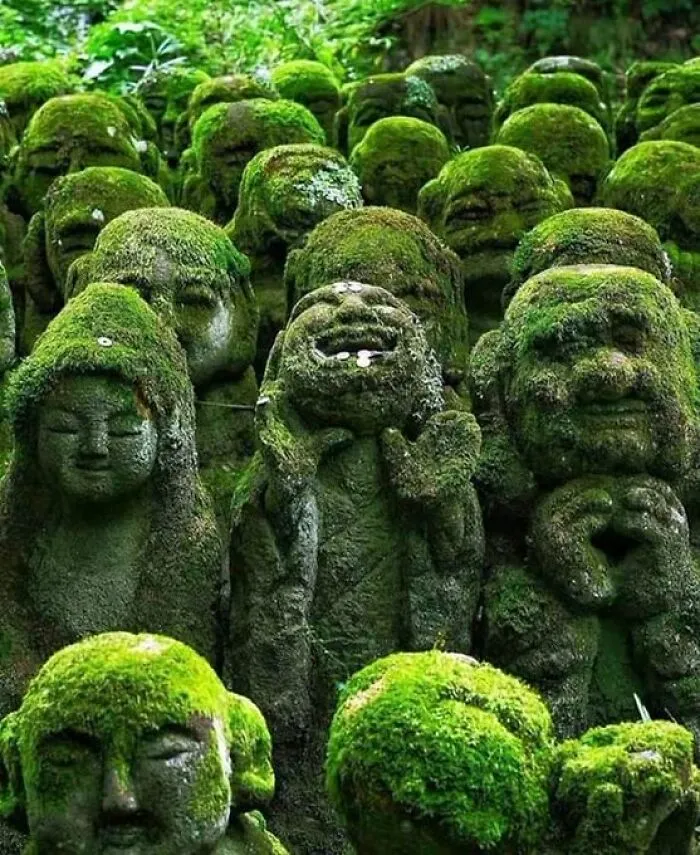 50 Of The Most ‘Fascinating’ Facts, As Shared By This X (Twitter) Account
