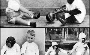 50 Of The Most ‘Fascinating’ Facts, As Shared By This X (Twitter) Account