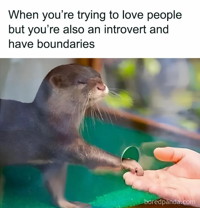 The Introvert Dating Dilemma: 47 Memes That Capture The Struggle