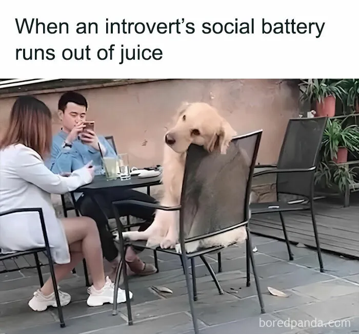 "The Struggle Is Real": 50 Hilariously Accurate Memes That Sum Up Dating As An Introvert