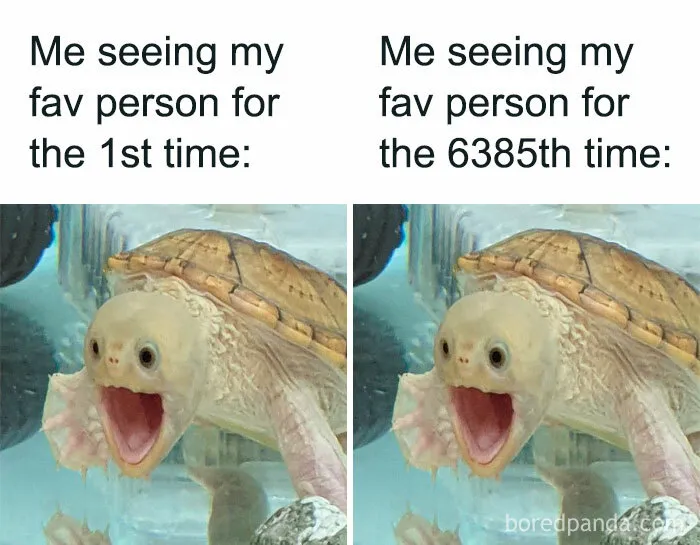 The Introvert Dating Dilemma: 47 Memes That Capture The Struggle