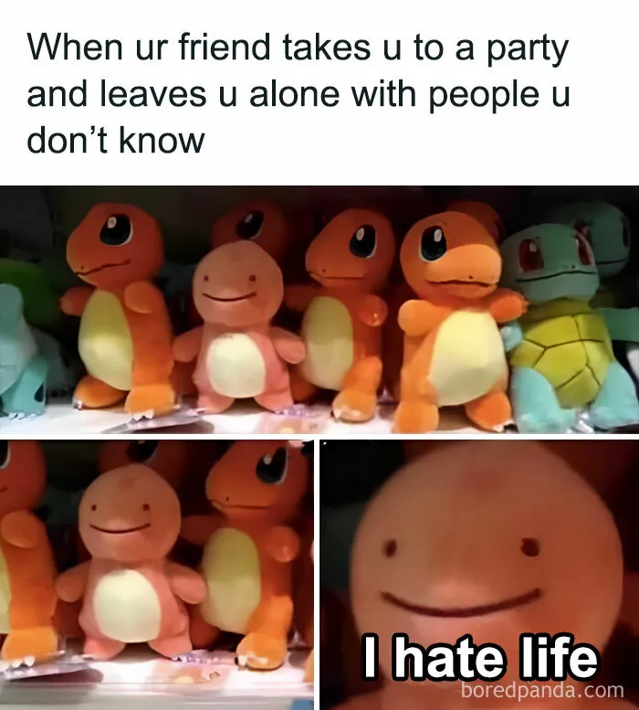 The Introvert Dating Dilemma: 47 Memes That Capture The Struggle