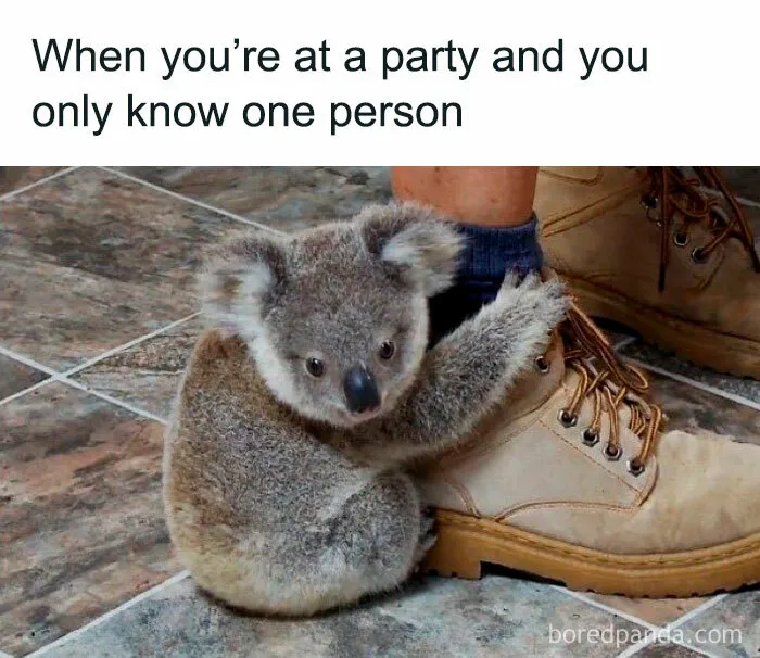 "The Struggle Is Real": 50 Hilariously Accurate Memes That Sum Up Dating As An Introvert
