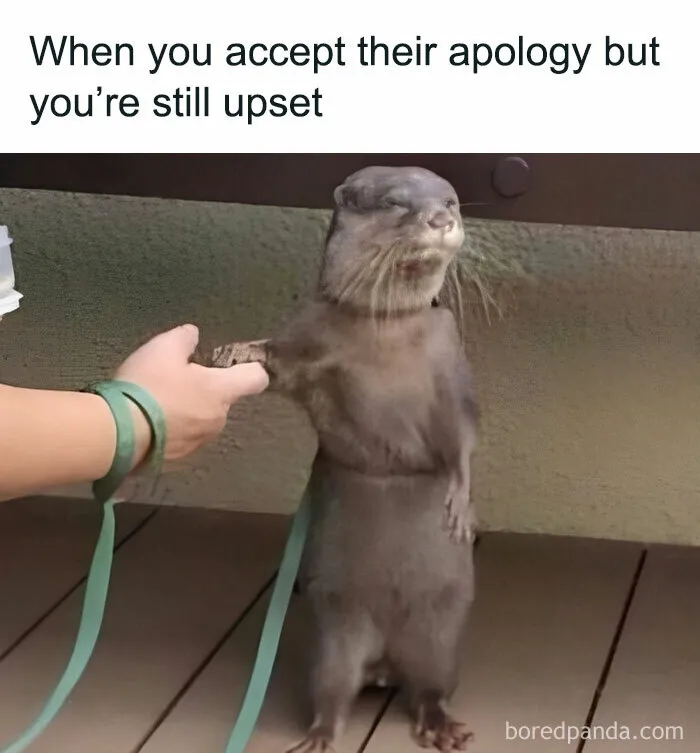 "The Struggle Is Real": 50 Hilariously Accurate Memes That Sum Up Dating As An Introvert