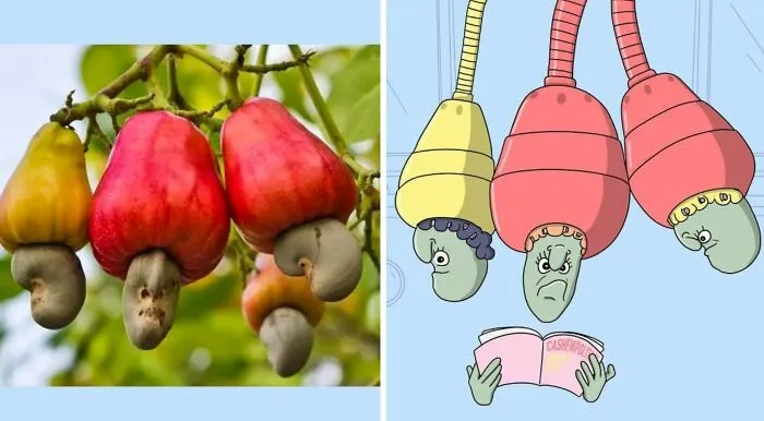 Artist Redraws 20 Funny Examples Of Pareidolia In Everyday Life And Turns It Into Fun Illustrations (New Pics)