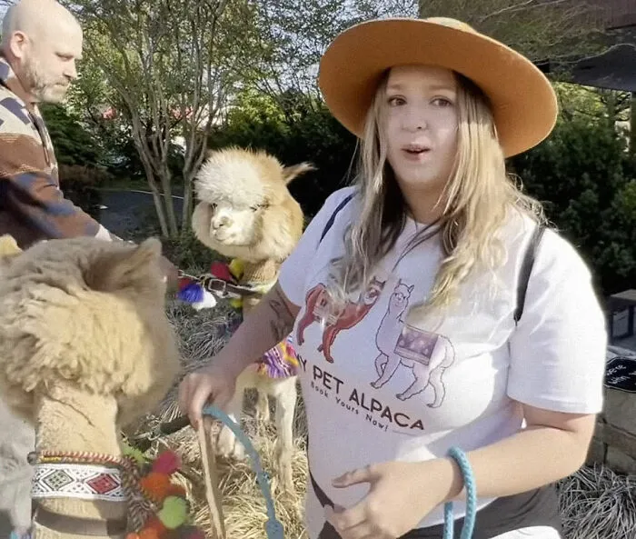 The Time When Alpacas Were Brought By Johnny's Fans As A Lucky Charm