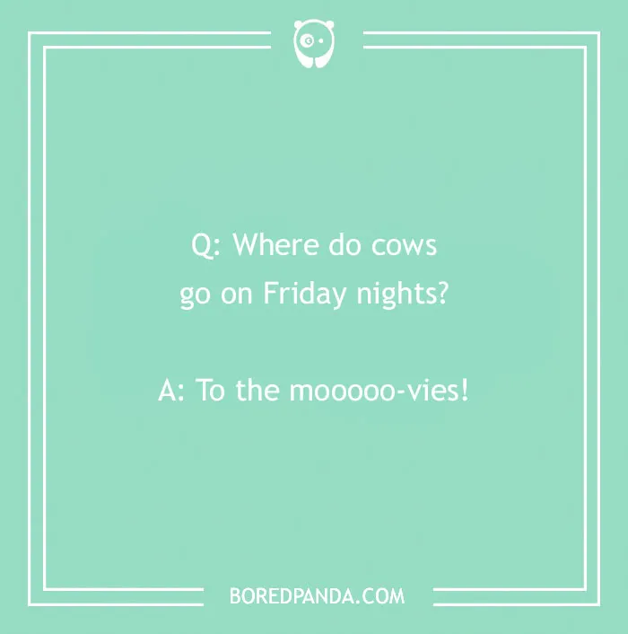Best Jokes For 5-Year-Olds: Knock-Knock, Animal, School & Silly One-Liners