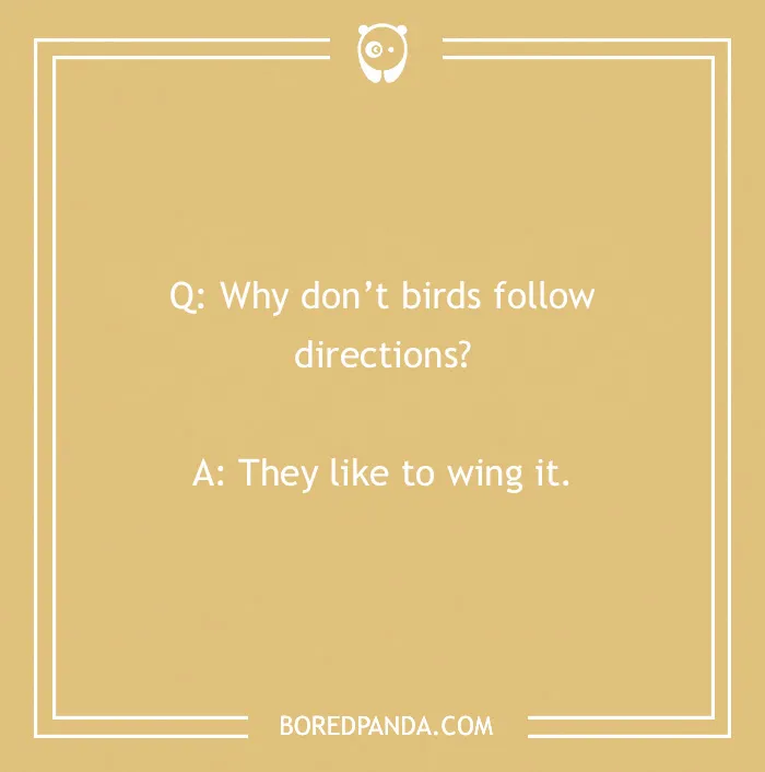 Classic bird energy