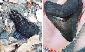 50 Incredibly Lucky People Who Are Probably Having A Better Day Than You