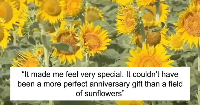“It Made Me Feel Very Special”: Man Surprises Wife Of 50 Years With A Field Of 1.2M Sunflowers