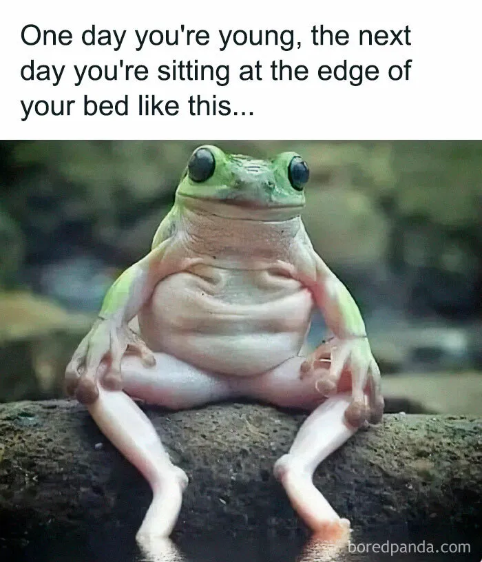 ‘Millennial Misery’: 40 Of The Best Posts To Make Millennials Laugh, Then Cry