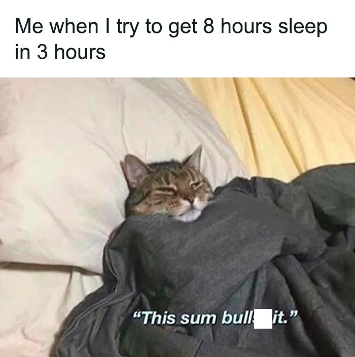 “When You Try to Get Enough Sleep in Just a Few Hours“
