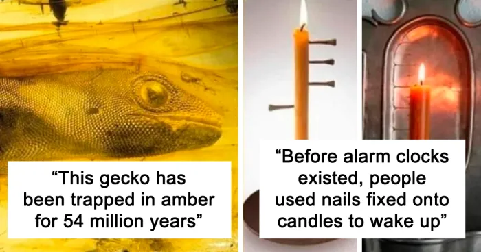 32 Mysterious And Bizarre Posts That Show Just How Weird Our World Really Is