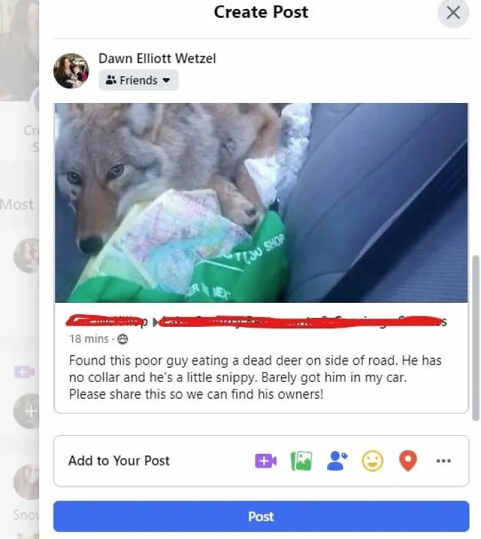 50 Times FB Marketplace Shined With The Most Unhinged Entries That People Just Had To Share (New Pics)