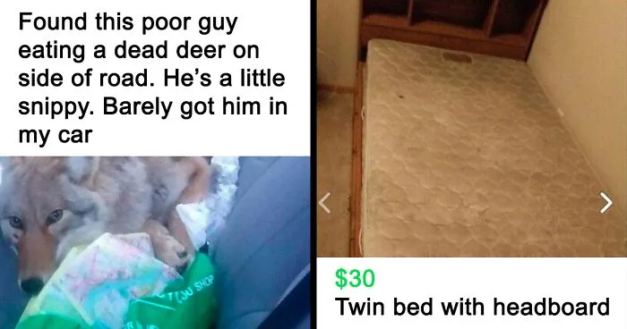 50 Times FB Marketplace Shined With The Most Unhinged Entries That People Just Had To Share (New Pics)
