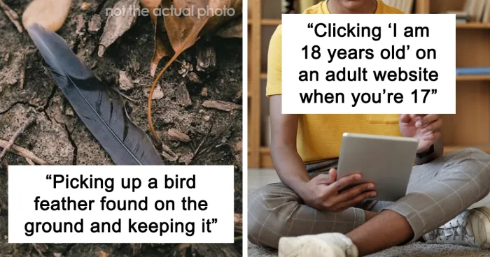 “Believe It Or Not, It’s A Crime”: 35 Examples Of Victimless Crimes