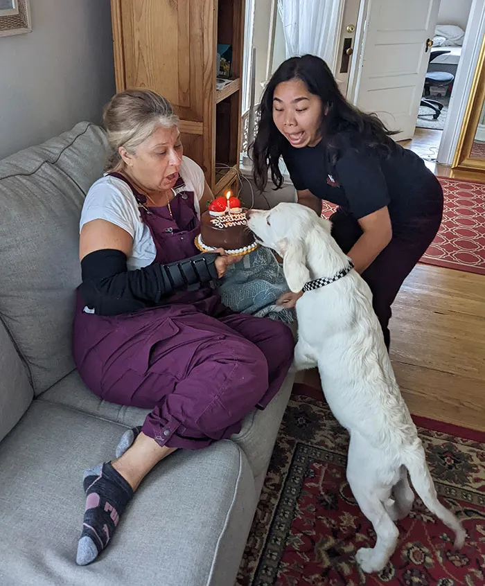 Mi cachorro decidió que él también quería un trozo de la tarta de cumpleaños de mi madre