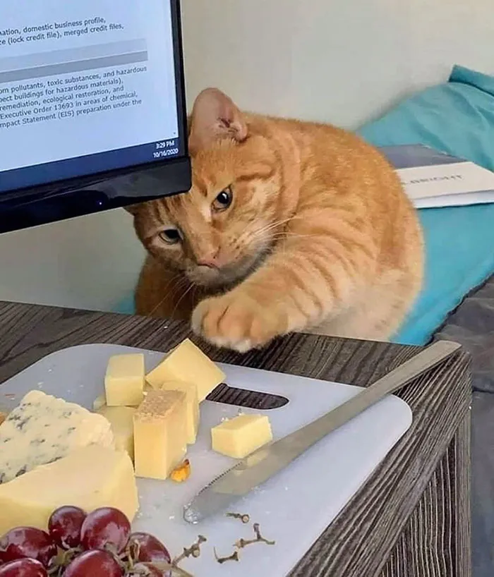 Can I Have Some?