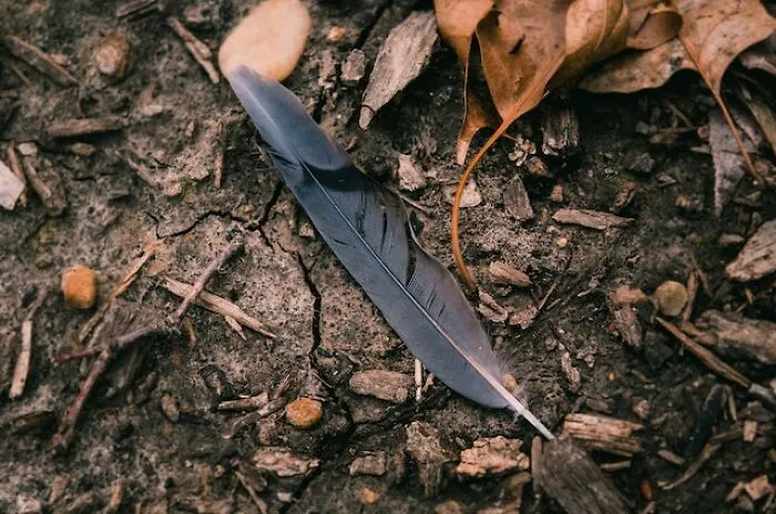 “Believe It Or Not, It’s A Crime”: 35 Examples Of Victimless Crimes