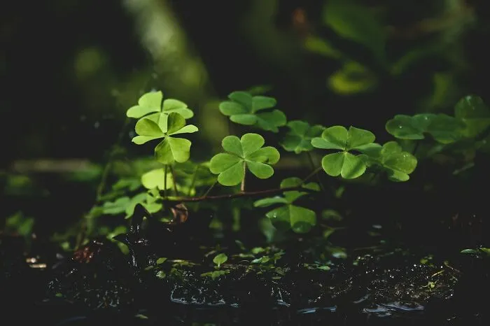 People Speak Out About Life-Turning Things That Helped Them Stop Being Broke (30 Answers)