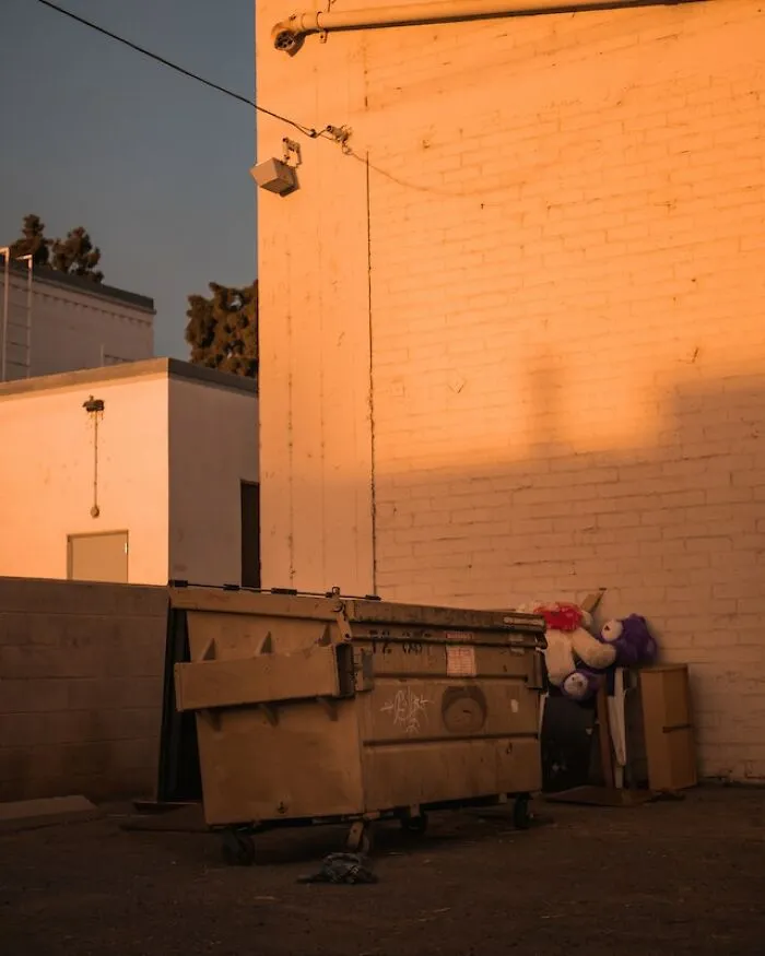 “Believe It Or Not, It’s A Crime”: 35 Examples Of Victimless Crimes