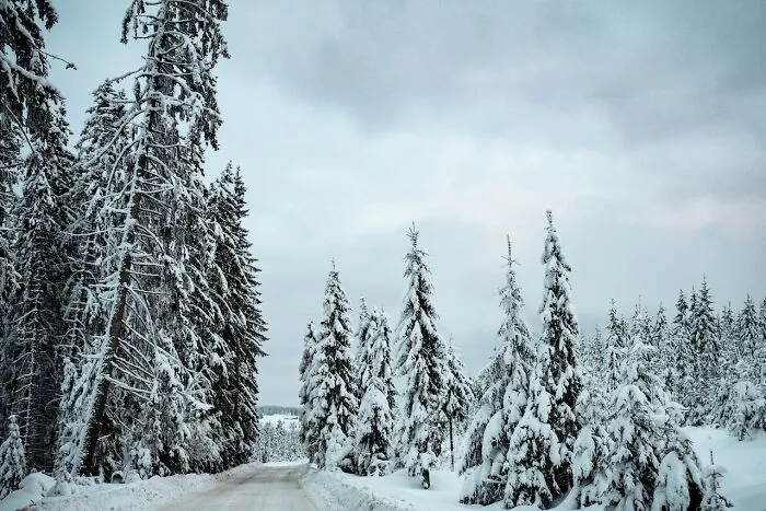 Someone Asked “What Is The Dumbest Travel Mistake You’ve Made?”, 30 Folks Delivered